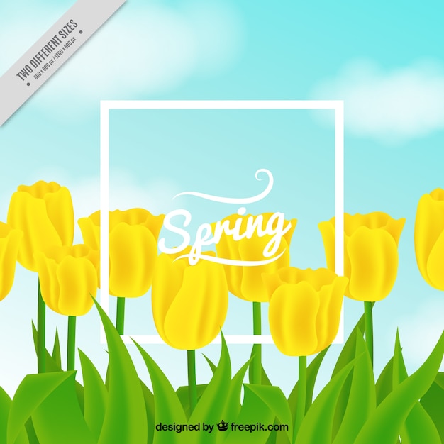 Free Vector nice background of yellow tulips