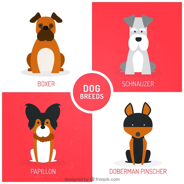 Free Vector nice dog breeds