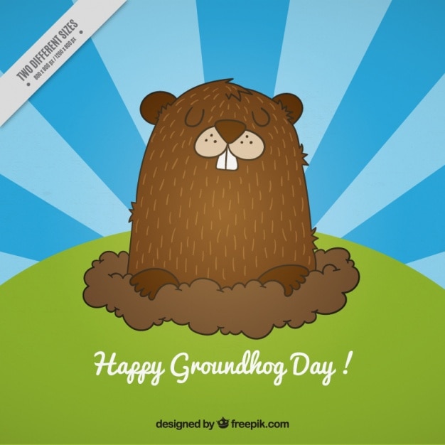 Nice groundhog day background