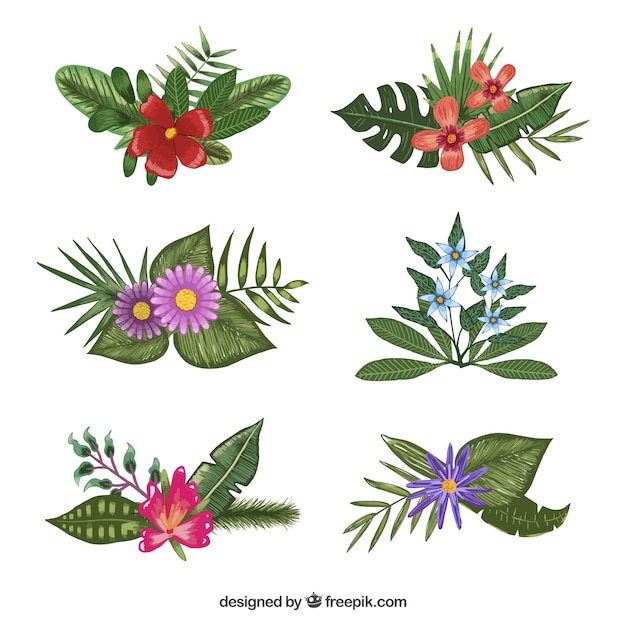 Free Vector nice selection of different flowers painted with watercolors