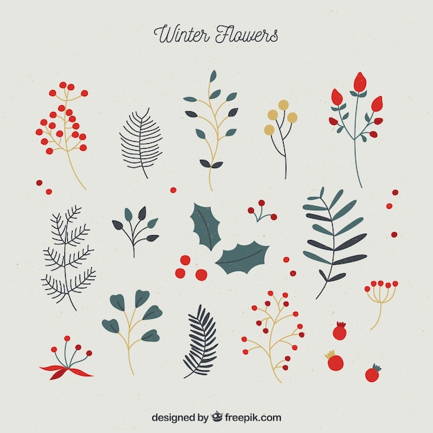 Nice simple collection of winter flowers