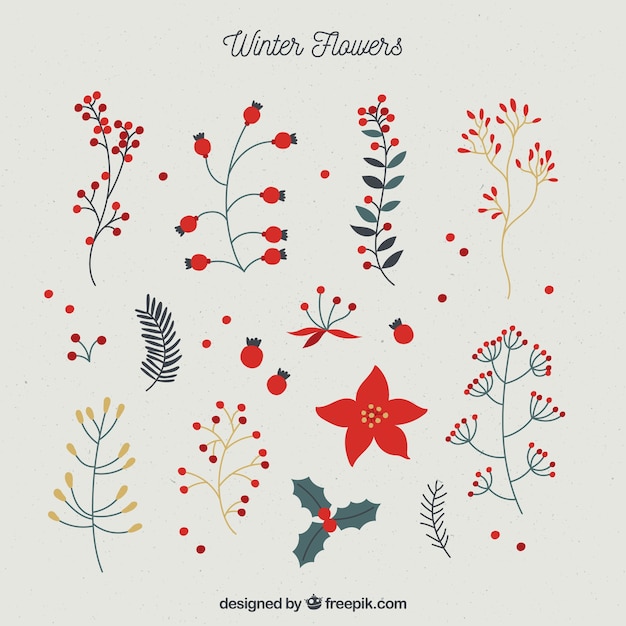 Nice winter collection of hand drawn flowers