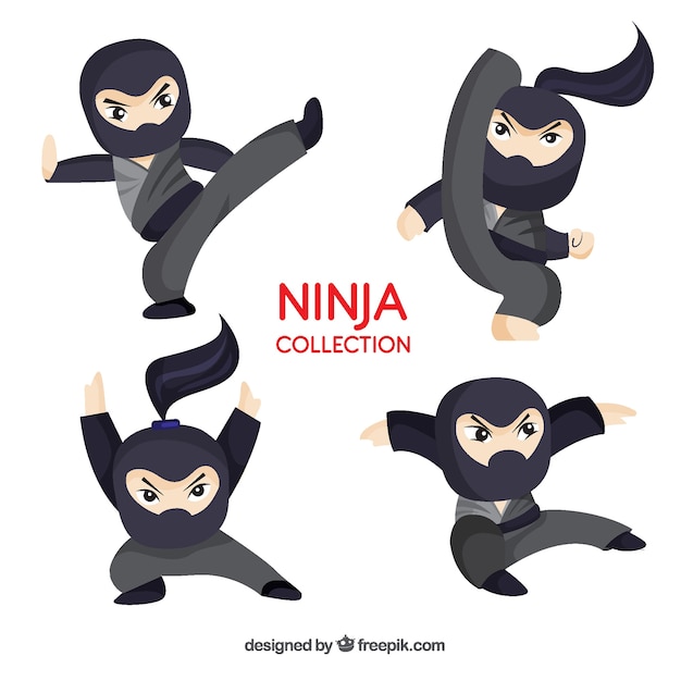 Ninja character collection