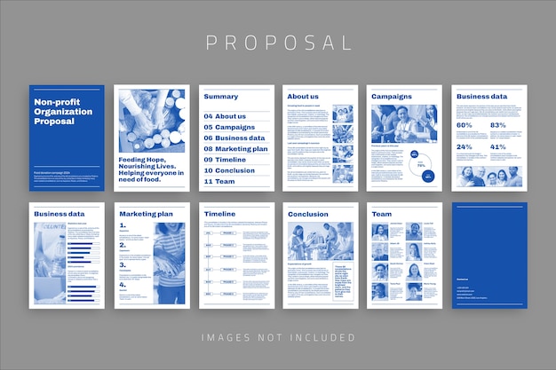 Non profit business proposal template design