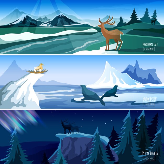  Northern Landscape Flat Banners set   