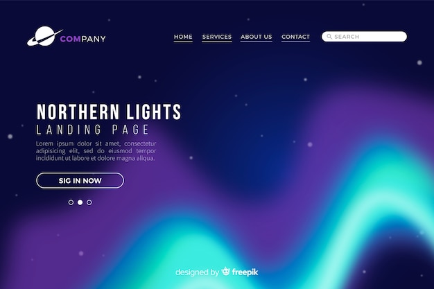 Free Vector northern lights landing page