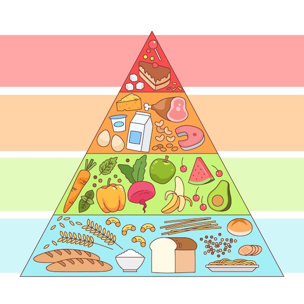 Nutrition concept food pyramid design