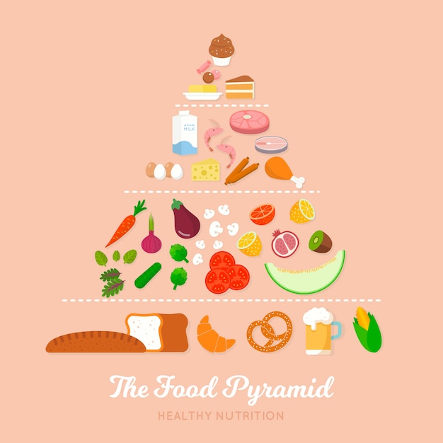 Free Vector nutrition food pyramid