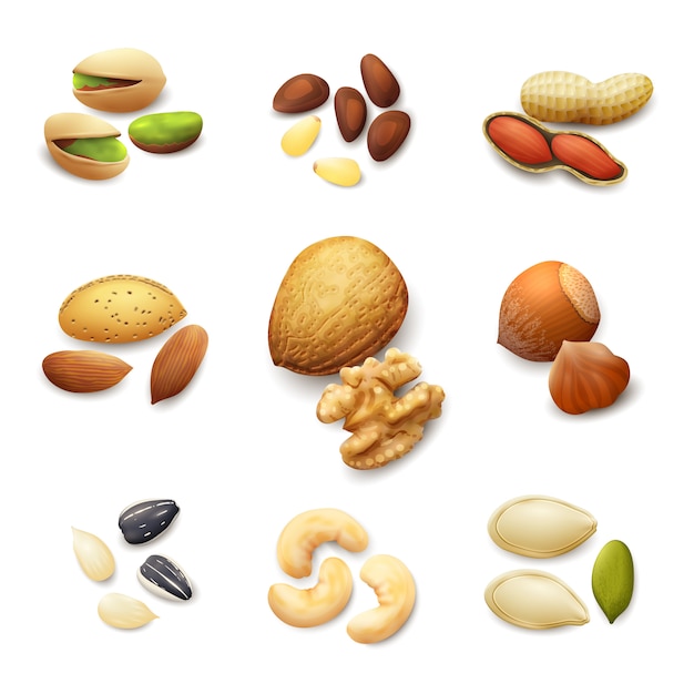 Free Vector nuts realistic set