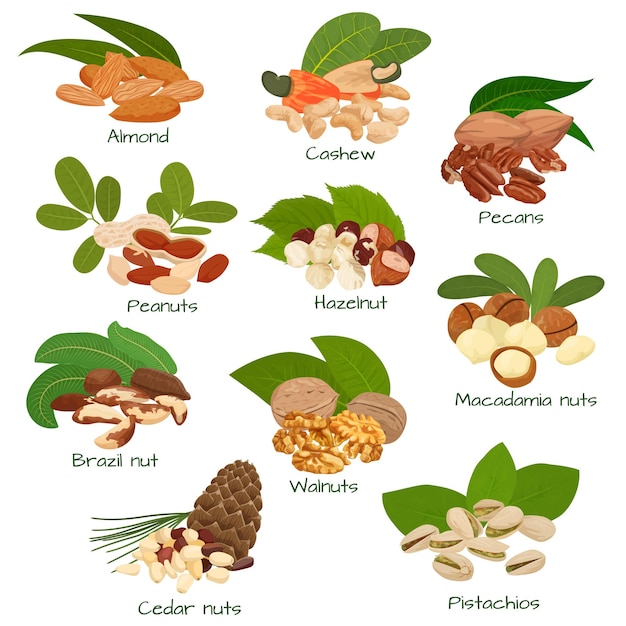 Free Vector nuts and seeds flat set with isolated bunches of cashew walnuts hazelnuts peanuts pecans and pistachios vector illustration