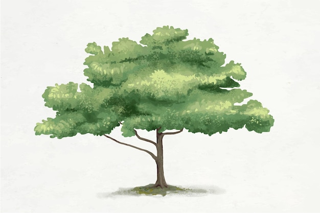 Oak tree element graphic