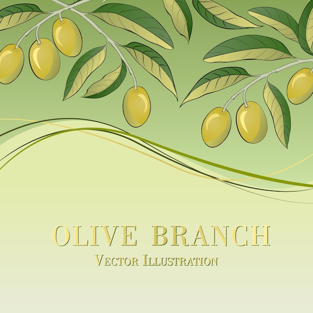 Free Vector olive branch on green backgound