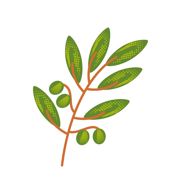 olive branch and leaves illustration