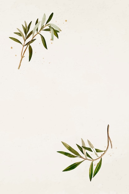 Olive branch pattern on a beige background template vector