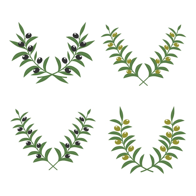 Olive branch wreaths isolated on white