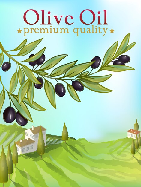 Olive Oil Premium Illustration for packaging