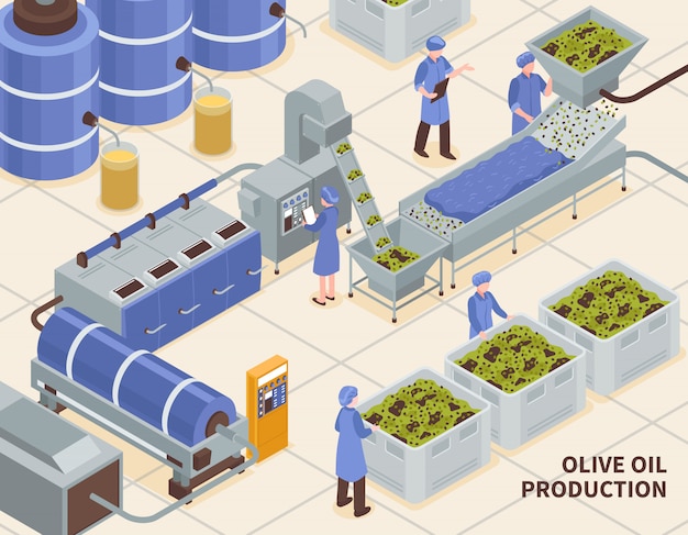 Free vector olive oil production isometric