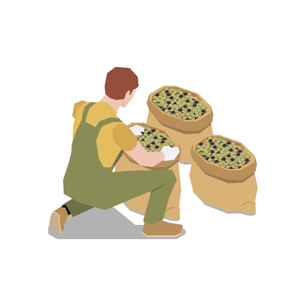 Free Vector olive production isometric composition with human character of male worker with sacks of olives