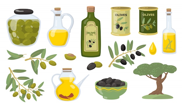 Olive vector illustration set