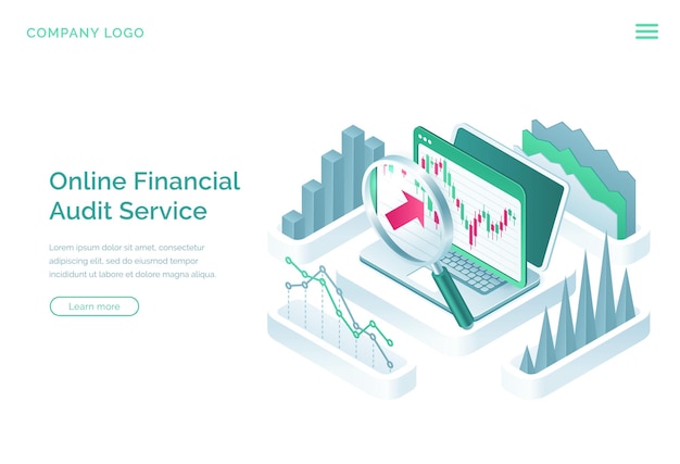 Online financial audit service landing page