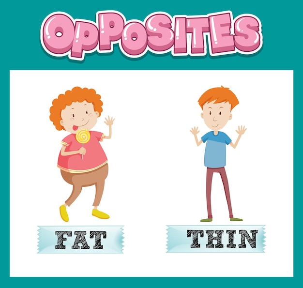 Opposite English words for kids