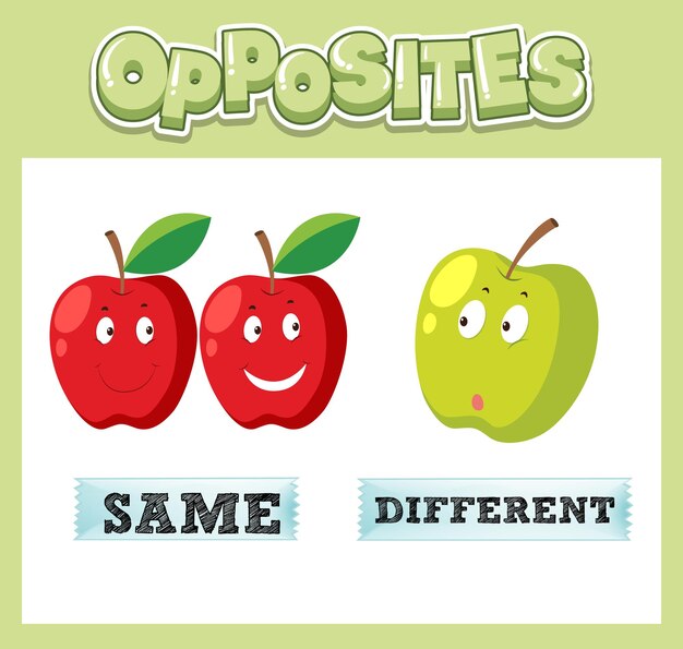 Opposite English words for kids