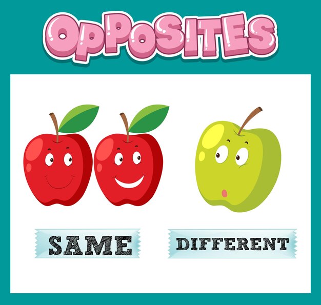 Opposite English words with same and different