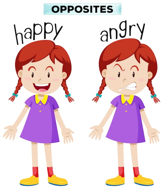 Opposite wordcard for happy and angry