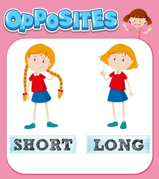 Opposite words for short and long