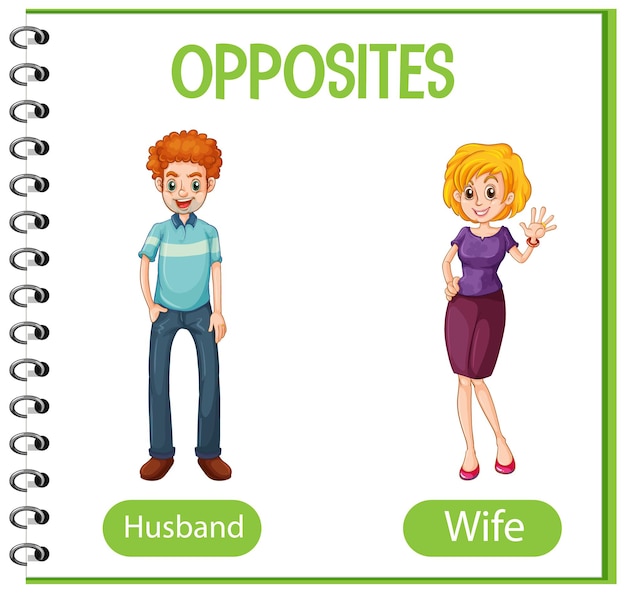 Free Vector opposite words with husband and wife