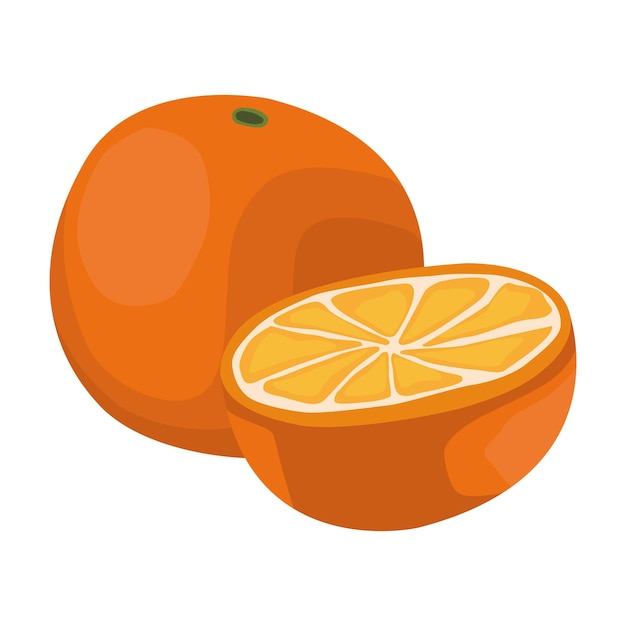 Free Vector orange citrus fruit fresh icon isolated design