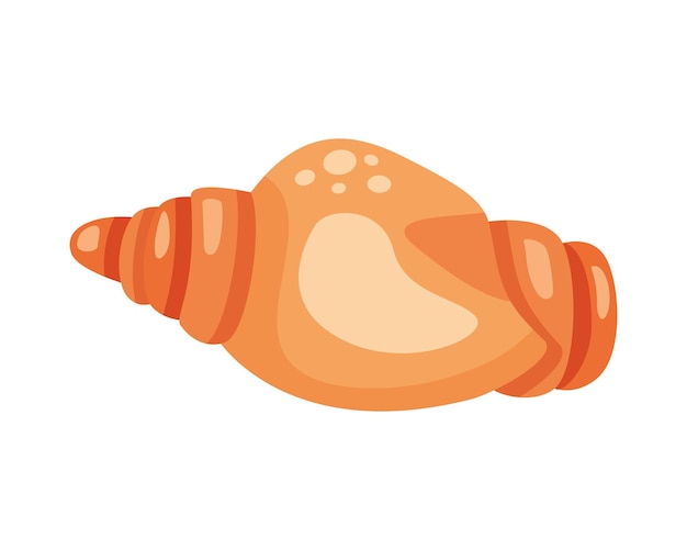 orange seashell illustration