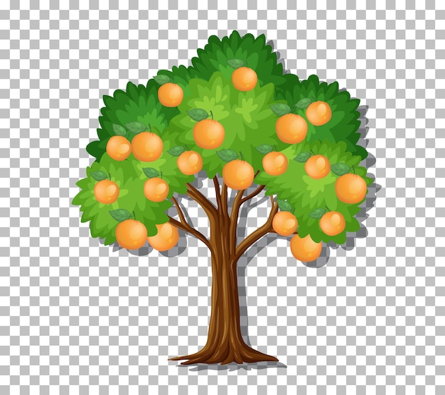 Orange tree on transparent background