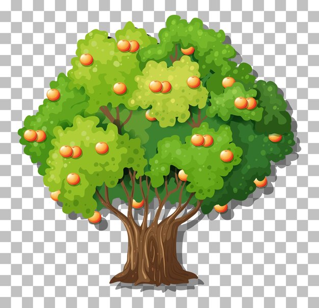 Orange tree on transparent background