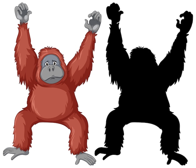 Free Vector orangutan characters and its silhouette on white background