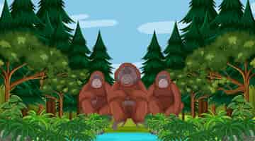 Free vector orangutan in forest or rainforest scene with many trees