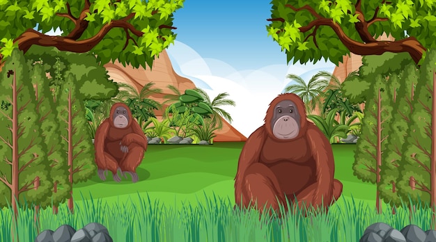 Free vector orangutan in forest or rainforest scene with many trees