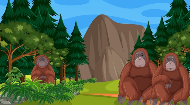 Free vector orangutan in forest or rainforest scene with many trees