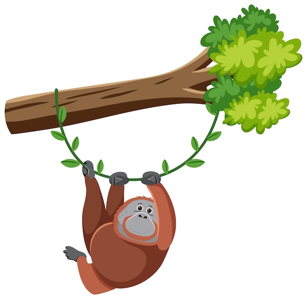 Orangutan hanging on tree