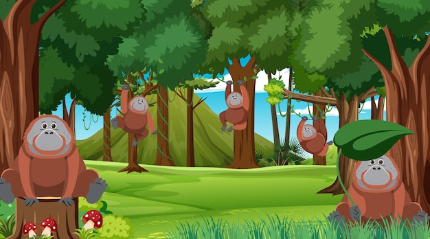 Free Vector orangutans in the forest scene