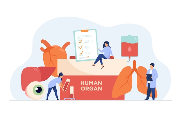 Organ donation concept. Container with human organ text, human lungs, eyeball, liver, heart and blood.