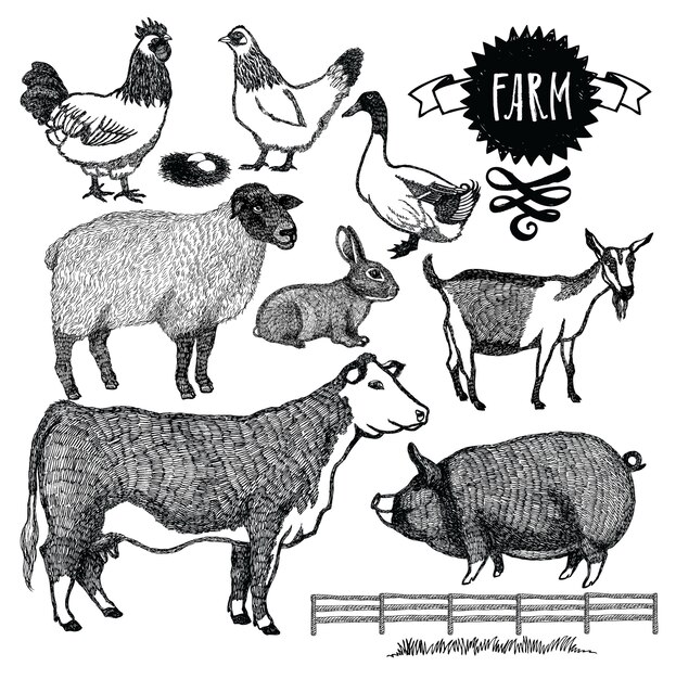 Organic farm Animals set