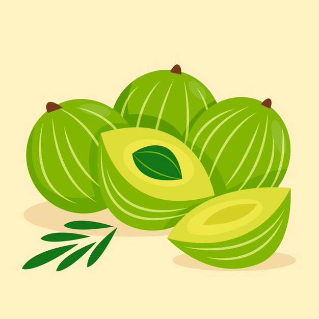 Organic flat amla illustration