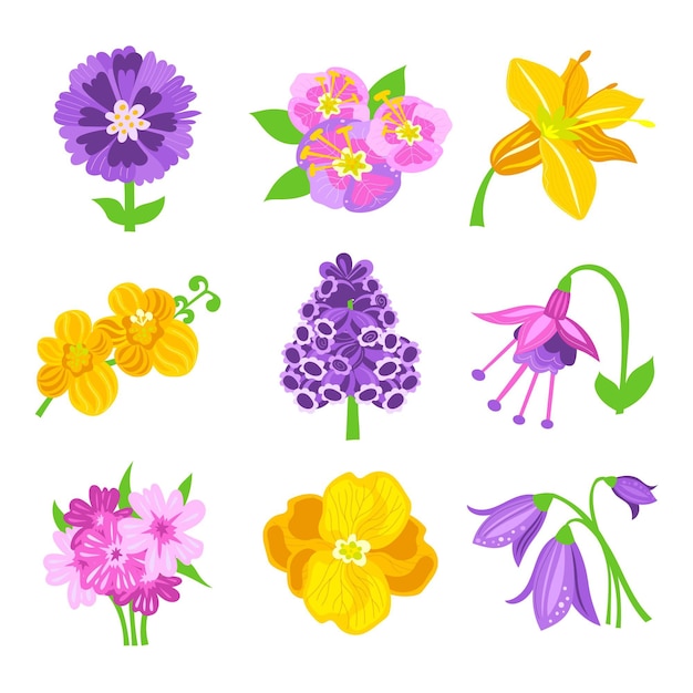 Free Vector organic flat design flower collection