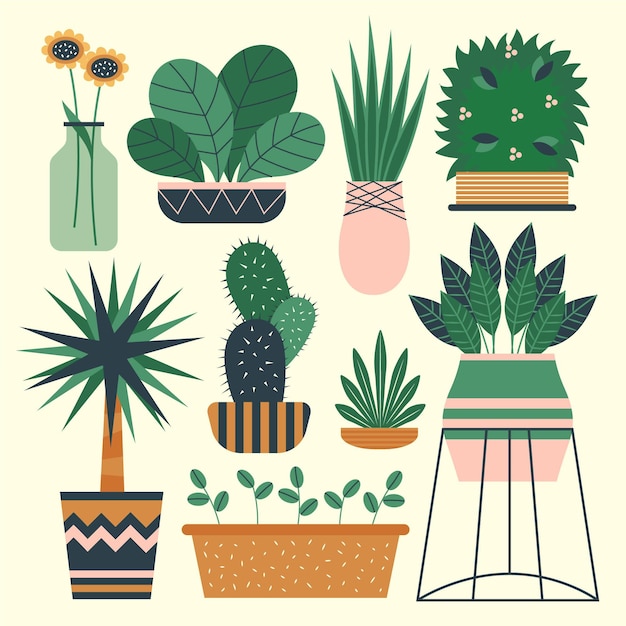 Free Vector organic flat design houseplant collection