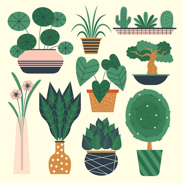 Organic flat design houseplant collection