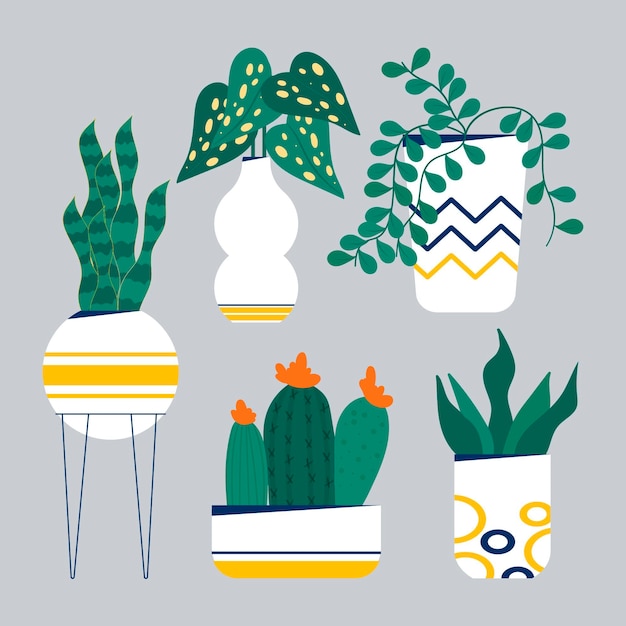 Free Vector organic flat design houseplant collection