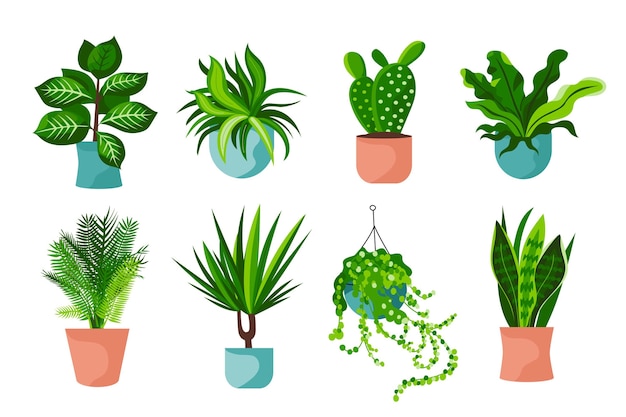 Organic flat design houseplant collection