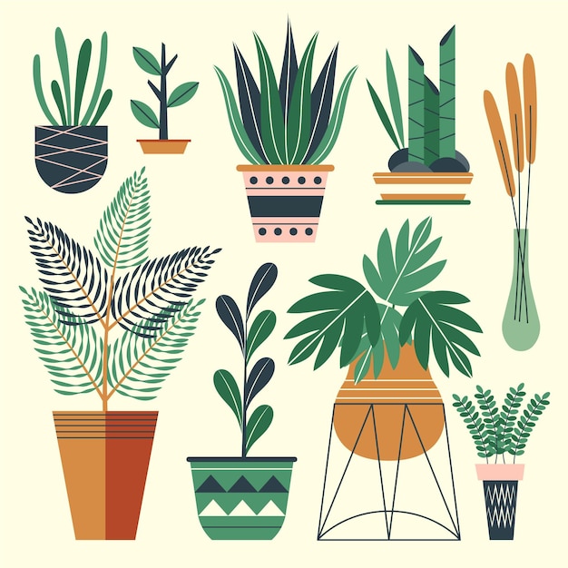 Free Vector organic flat design houseplant collection