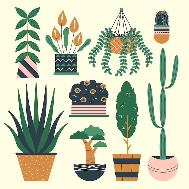 Free Vector organic flat design houseplant collection